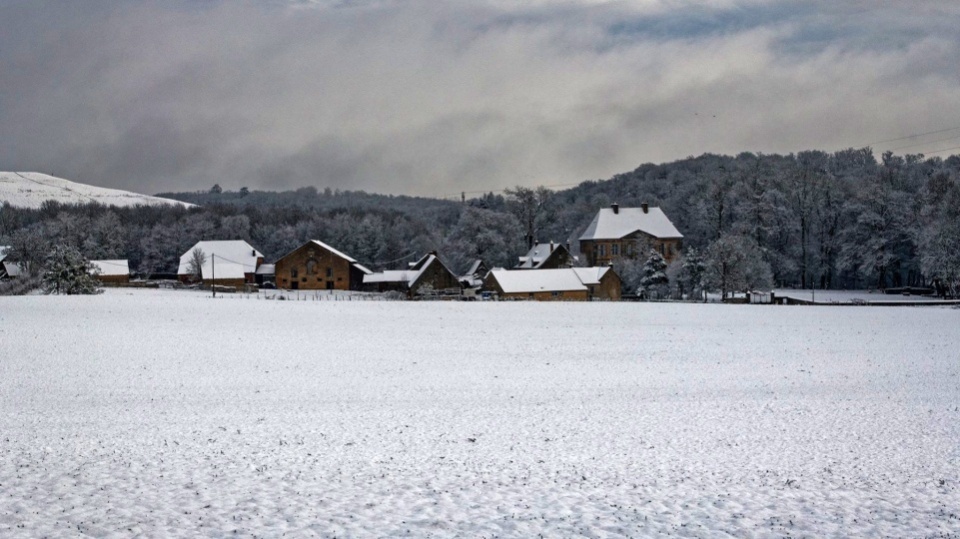 Roland Douarre Torcy sous la neige 23 janvier 2019 